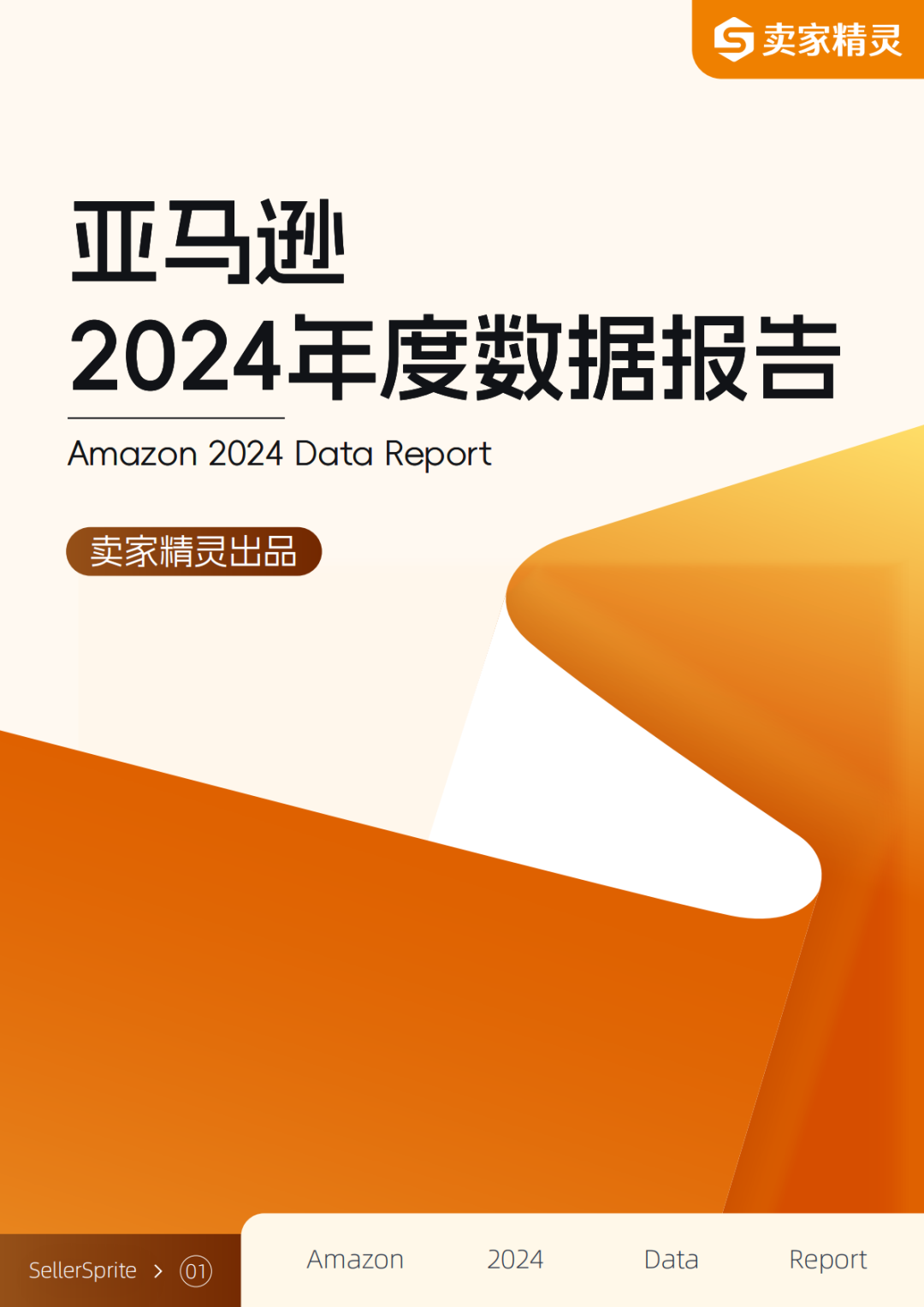 独家解读 | 亚马逊2024年度数据报告:中国卖家占比超50%,这些品类备受关注!