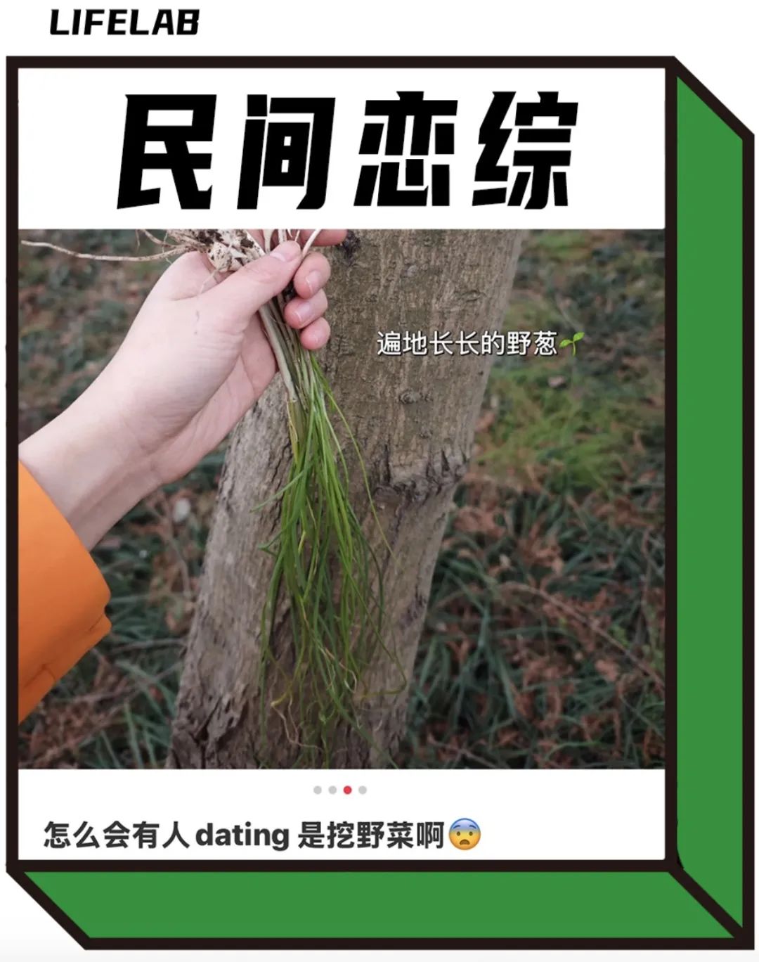 上海最狠的相亲方式:一起挖野菜