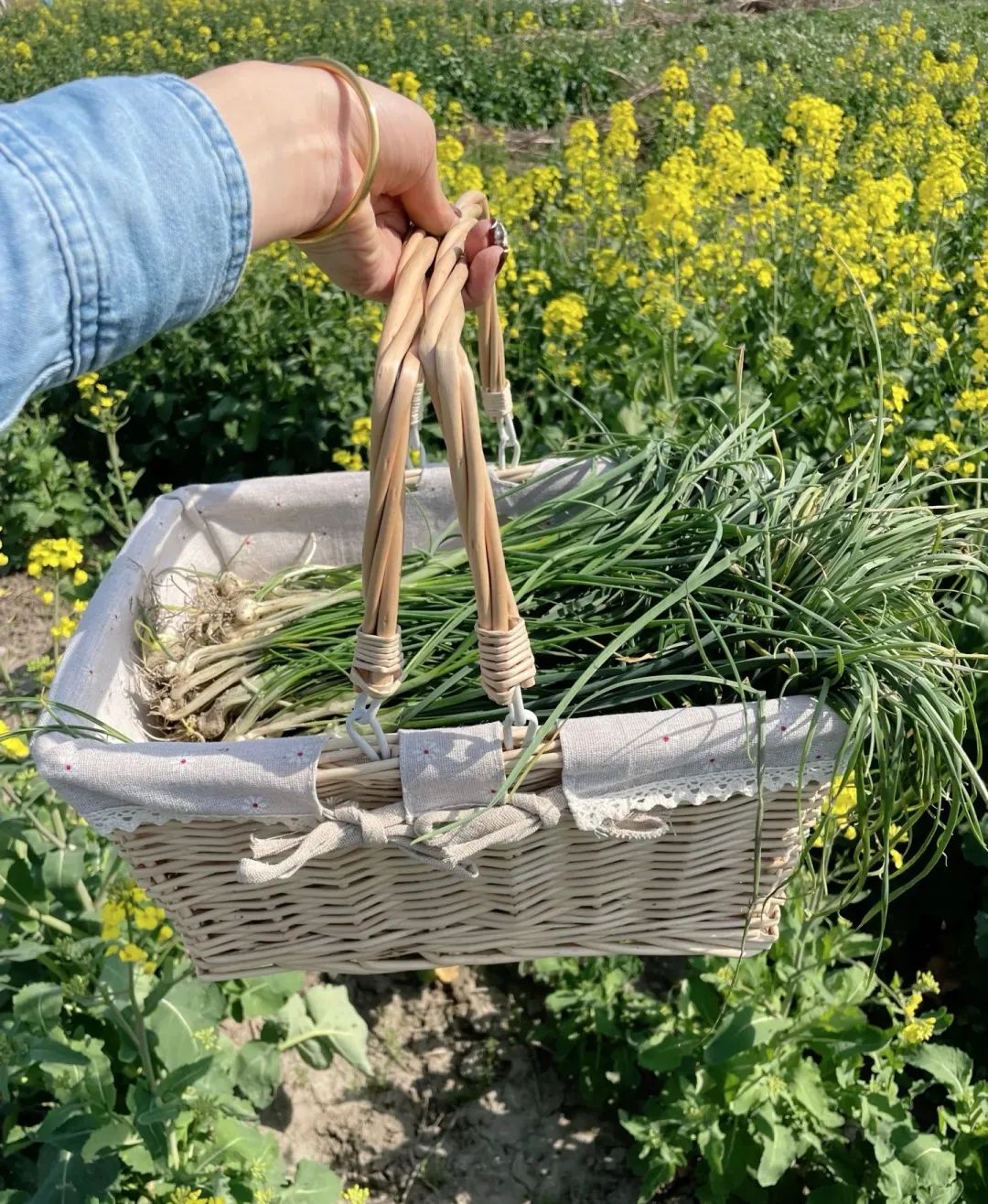 上海最狠的相亲方式:一起挖野菜