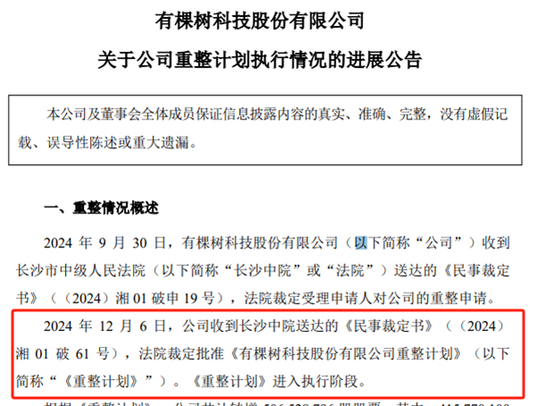 近11亿资金注入!深圳大卖重整计划落地