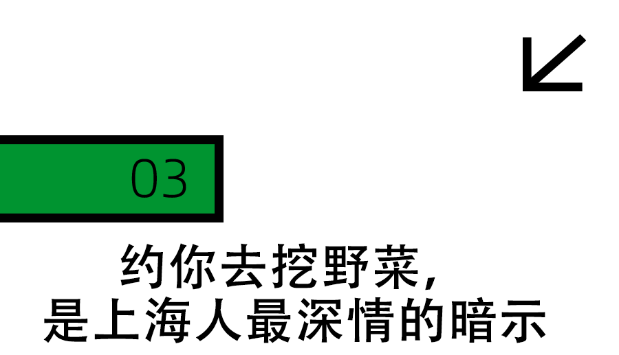 上海最狠的相亲方式:一起挖野菜
