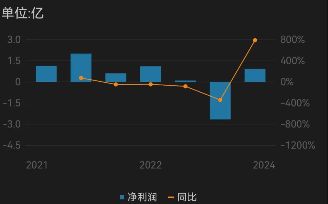 巨亏转净利1.6亿！跨境大卖逆袭成功