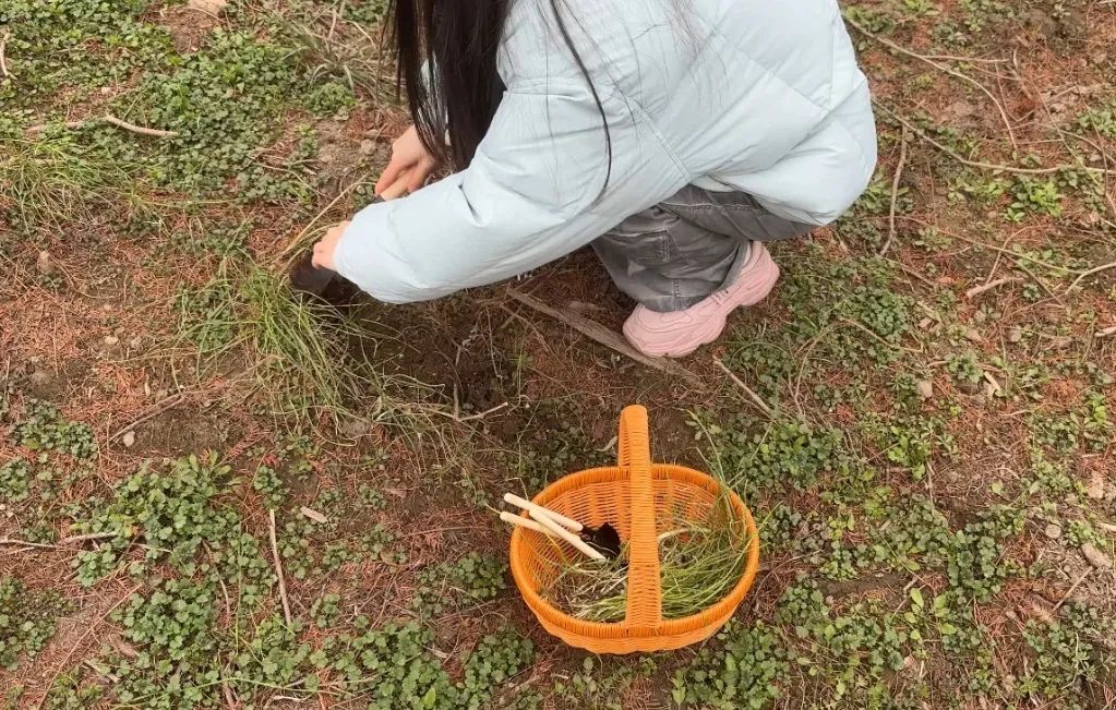 上海最狠的相亲方式:一起挖野菜