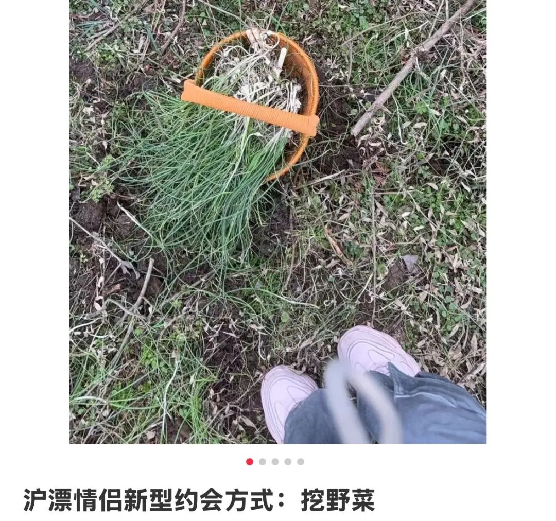 上海最狠的相亲方式:一起挖野菜
