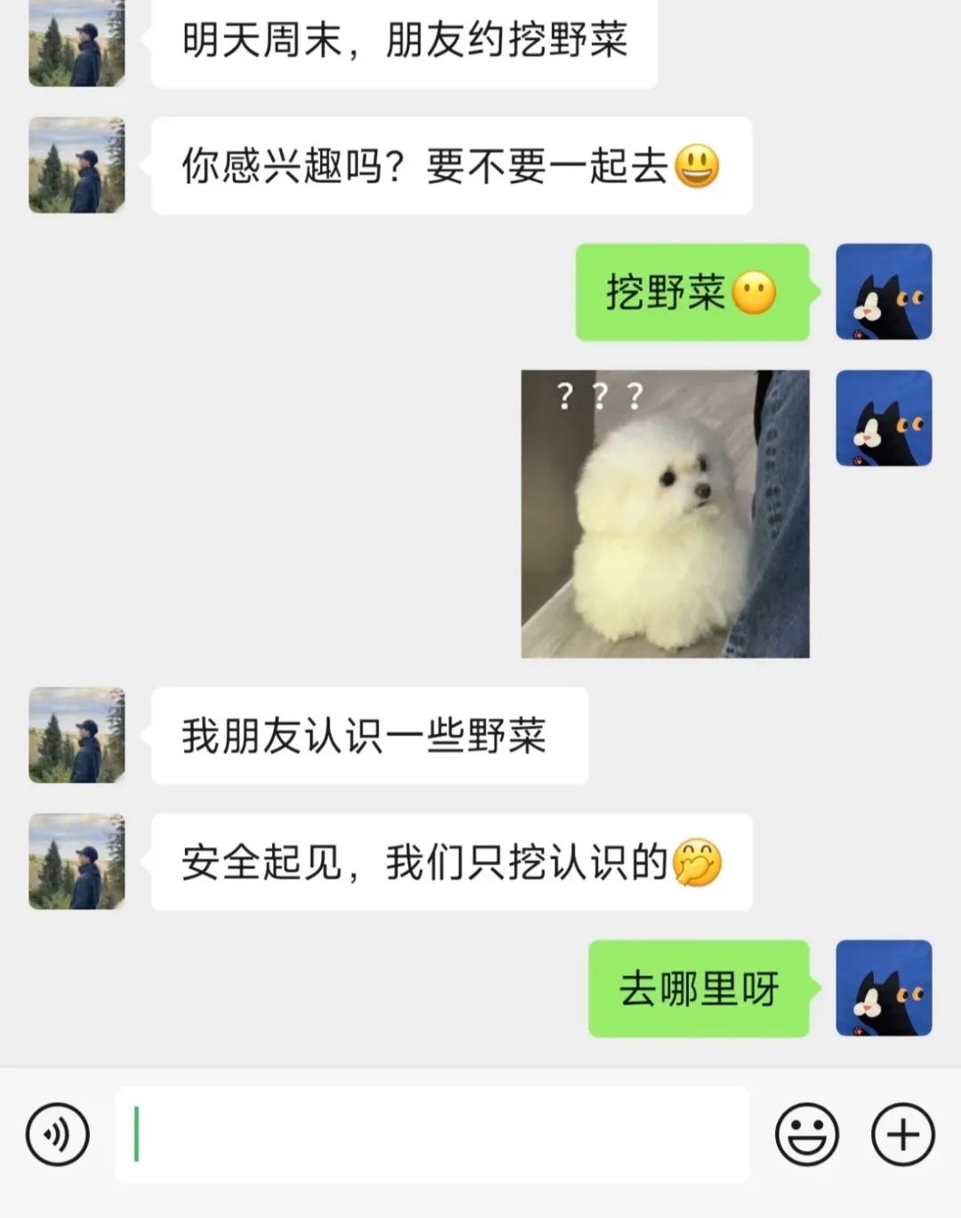 上海最狠的相亲方式:一起挖野菜