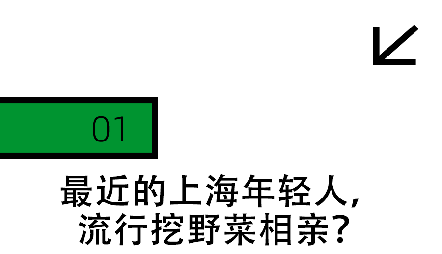 上海最狠的相亲方式:一起挖野菜