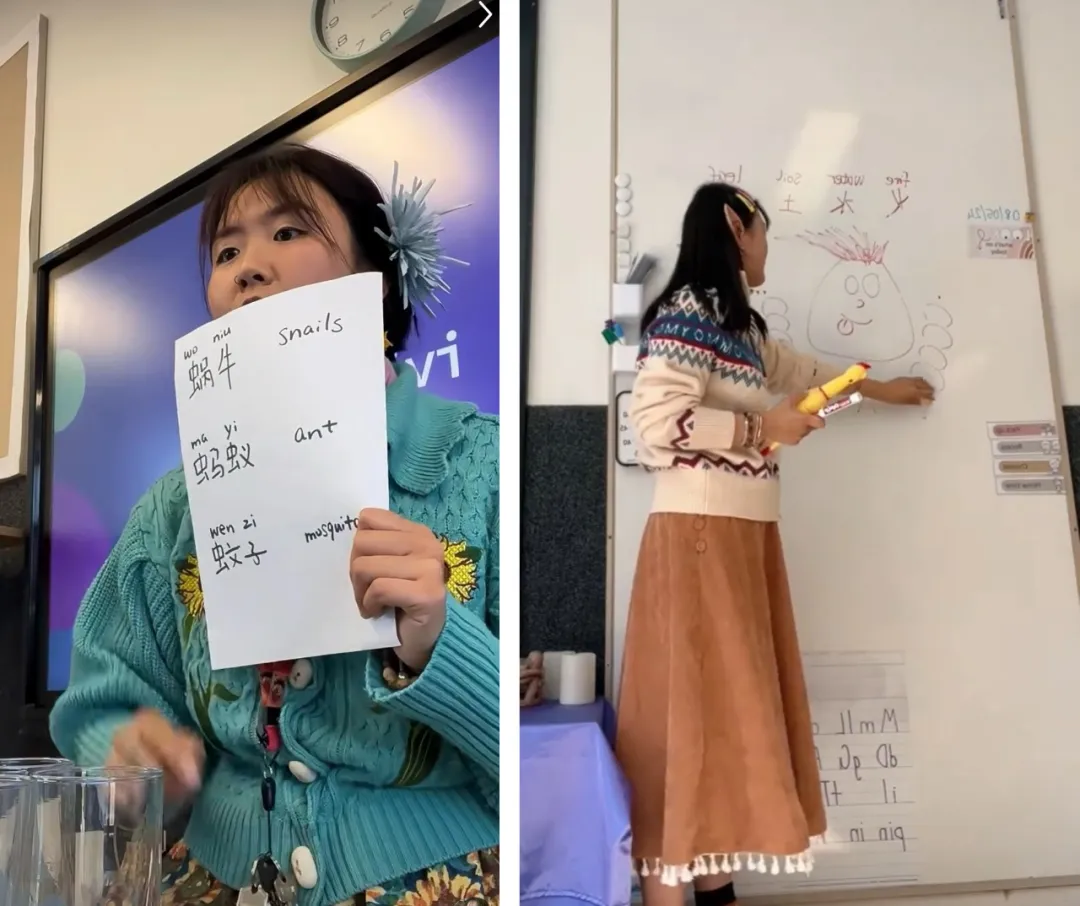 我在美国当老师:刚入职,就被小学生打了