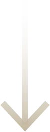 中国短剧席卷美利坚
