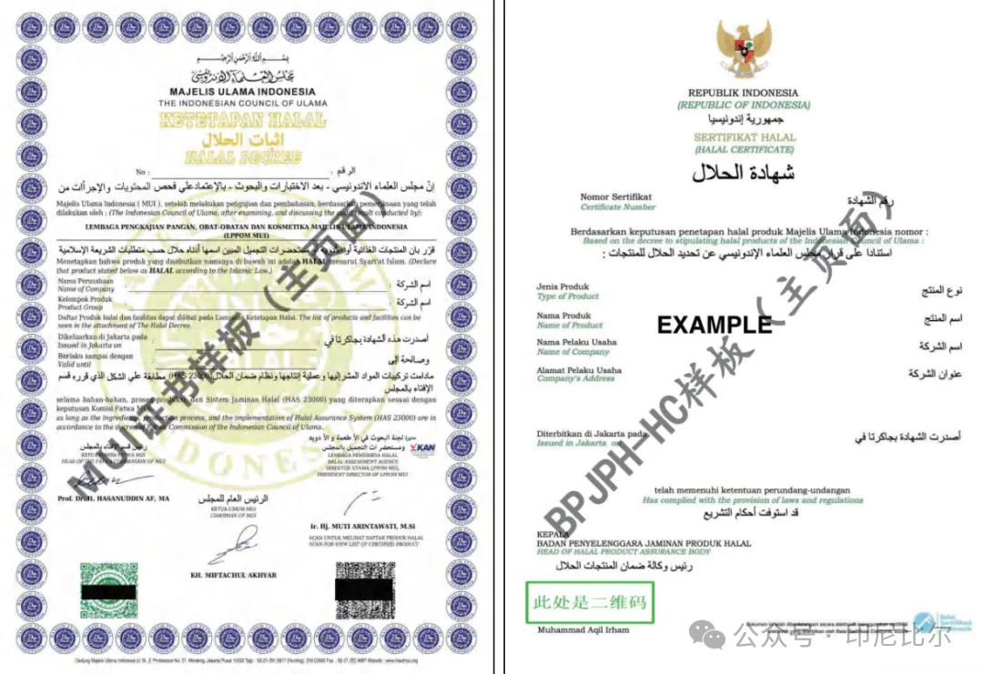 印尼工厂投资火爆,最全设厂攻略BPOM/HALAL清真流程