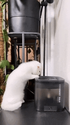 从欧美杀到东南亚，国产宠物品牌靠“铲屎”揽下超30亿市值