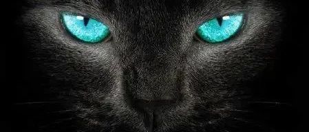 新规！这类跨境卖家要交增值税