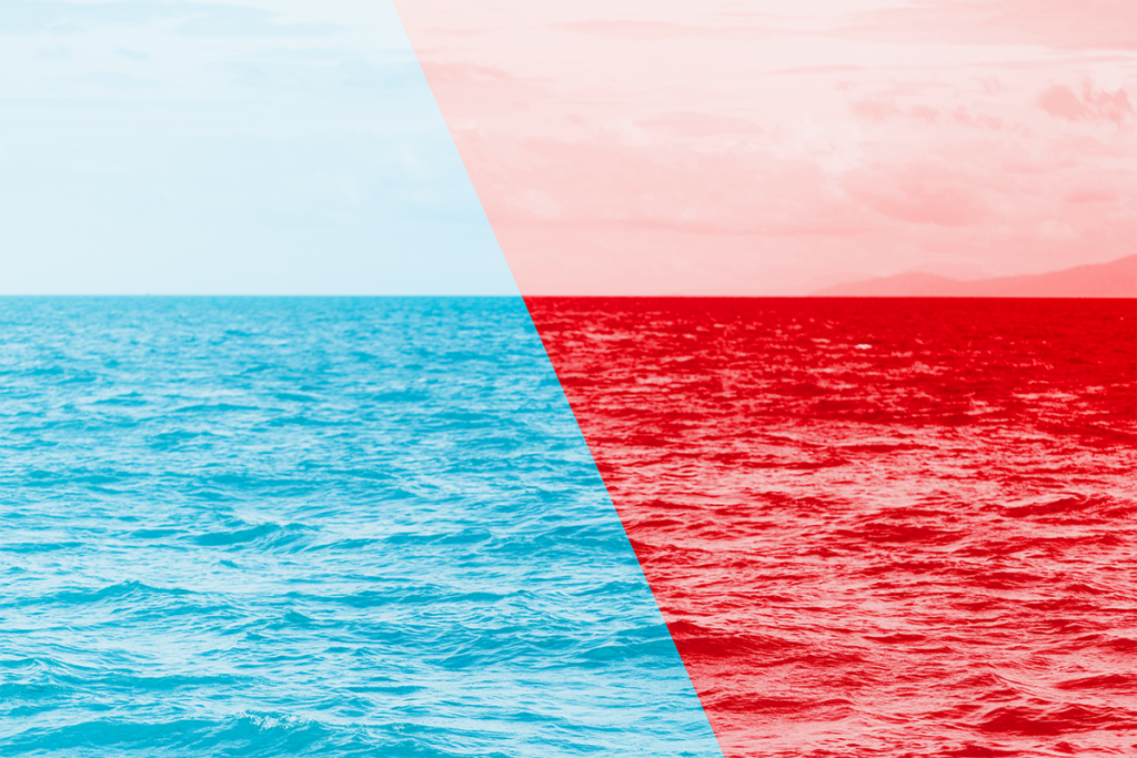 红海突围与蓝海远航：2025年终旺季卖家生存手册