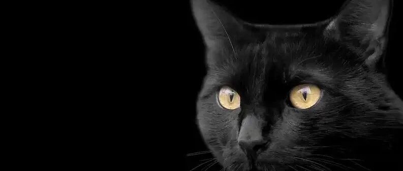 亚马逊又变了！卖家不得不注意的新规则