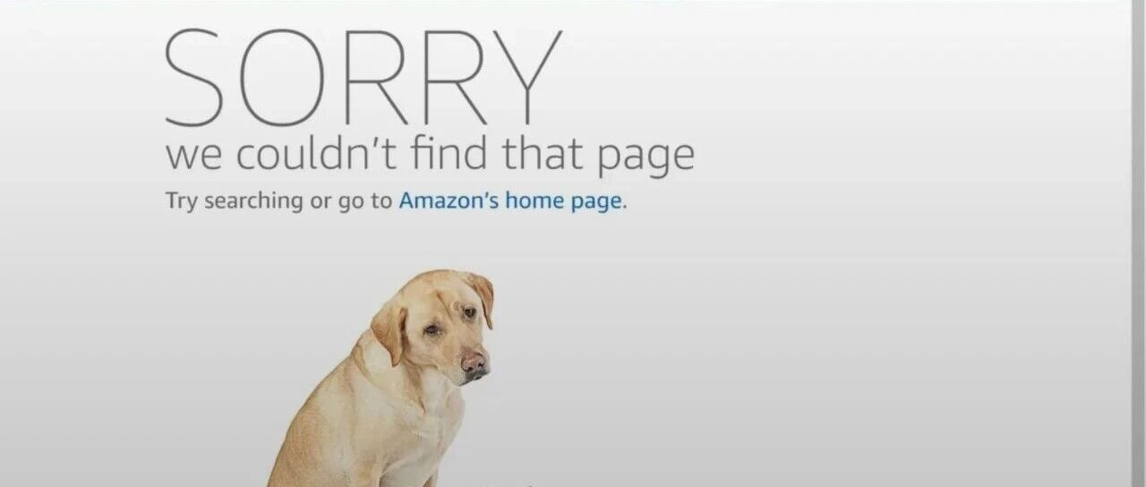 链接全部变狗！亚马逊系统崩了，多个站点“停摆”