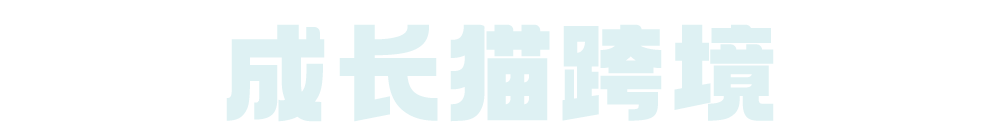 Shopee 店铺成功做起来必经的四个阶段