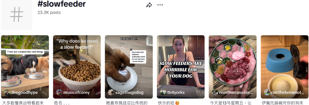 50天狂揽230万+,宠物慢食碗在TikTok卖断货
