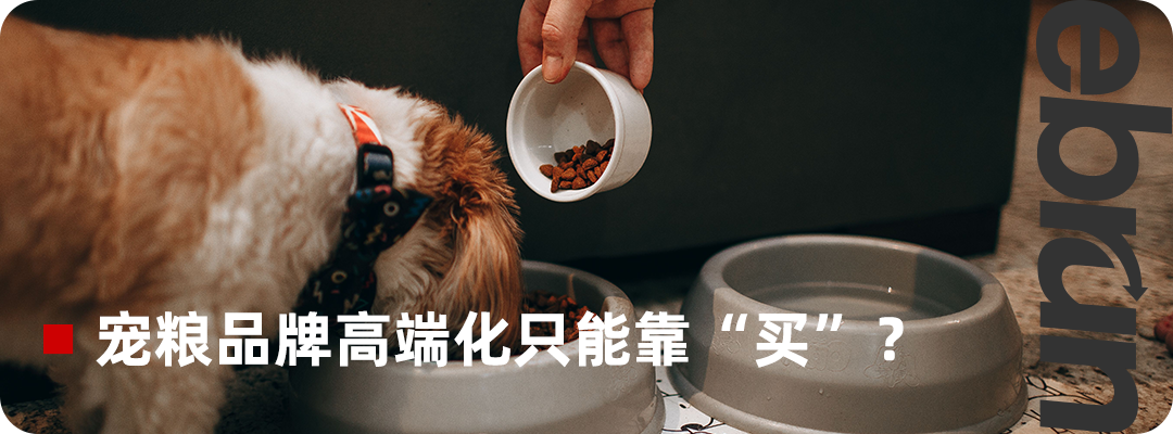 跨境电商服务商直面AI能力分水岭，率先跨越者将智胜新周期