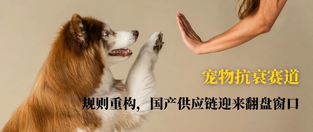 别再照搬国内配方出海!食品、保健品热门成分,跨境监管差异解析 | 跨境合规